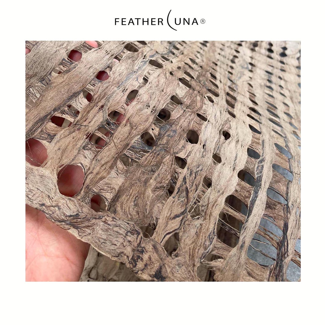 A hand holding amate bark paper close up, showing its streaked fibres and open holes