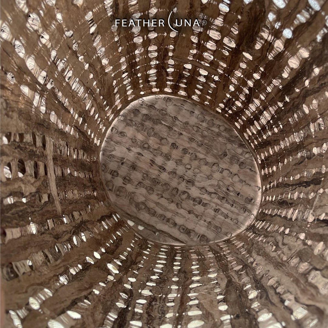 Looking into a roll of Café amate paper, light showing through its rows of holes