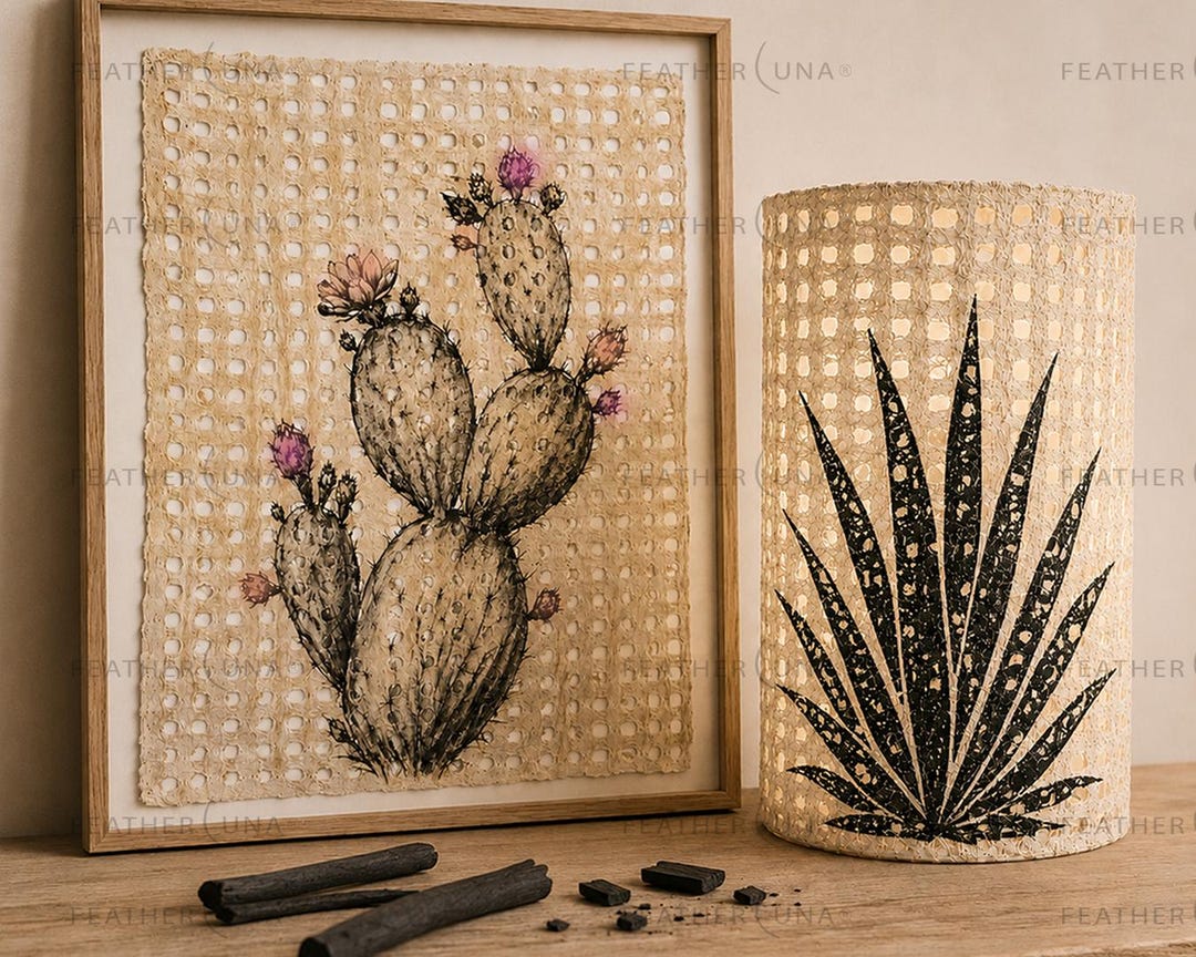 Charcoal drawings of a prickly pear and an agave on amate paper, one framed, one curved